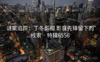 谜案追踪：丁冬影视 影音先锋留下的线索 · 特辑6556