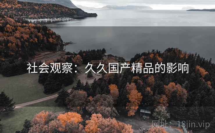 社会观察：久久国产精品的影响